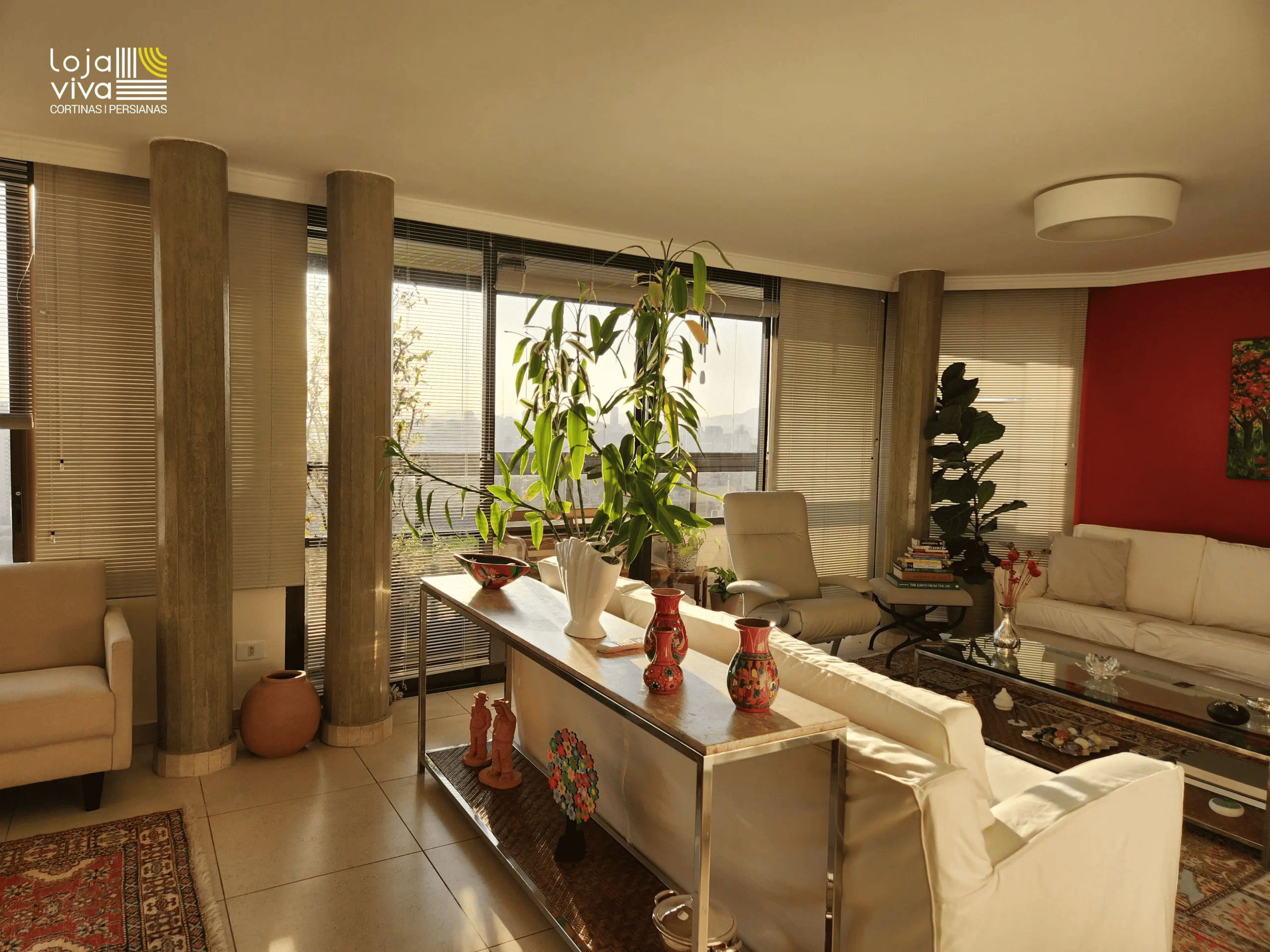 Projeto Lara Roizman